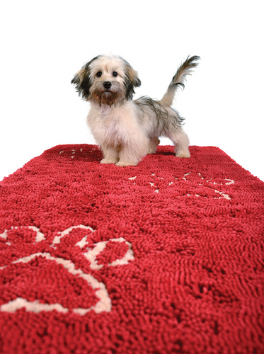 Dirty Dog Doormat Runners