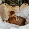Luxurious Full Backseat Protector- Pelsbarn Helps Shelters!