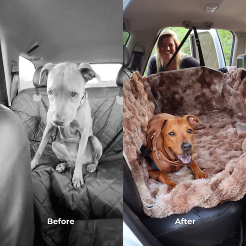 Luxurious Full Backseat Protector- Pelsbarn Helps Shelters!