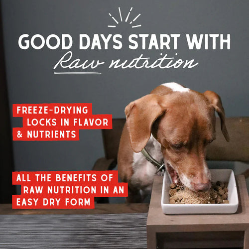 Stella & Chewy's Marie’s Magical Breakfast Sprinkles Breakfast Burger