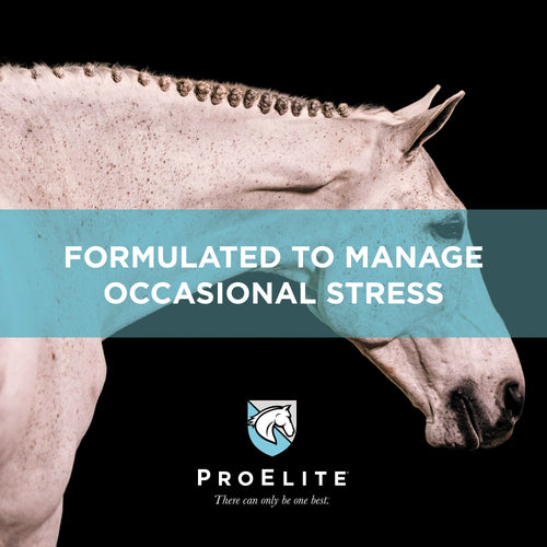 ProElite® Calm