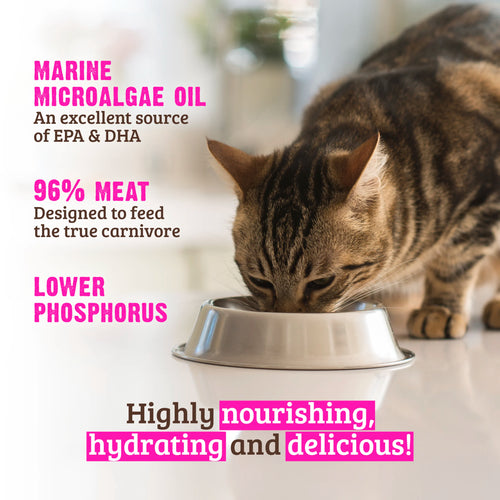 Rawz Lower Phosphorus Beef Canned Cat Food