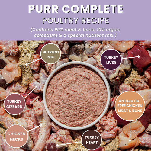Oma's Pride Purr Complete Cat Recipe (Portion Packs)